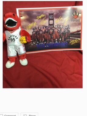 Toronto Raptors mascot